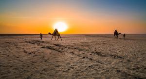 Journey......